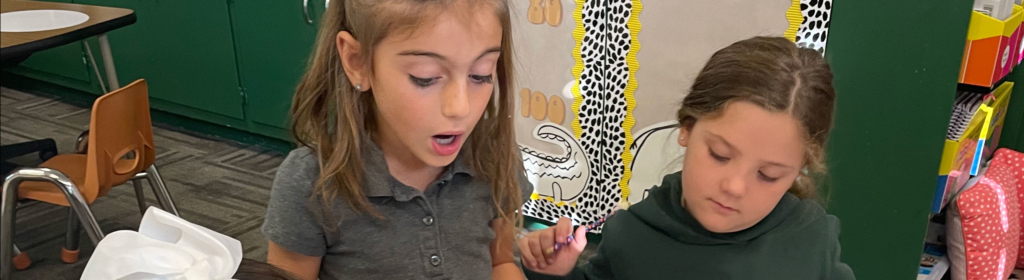 private school curriculum