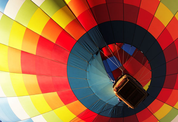 Cognia Fall 2025 Source