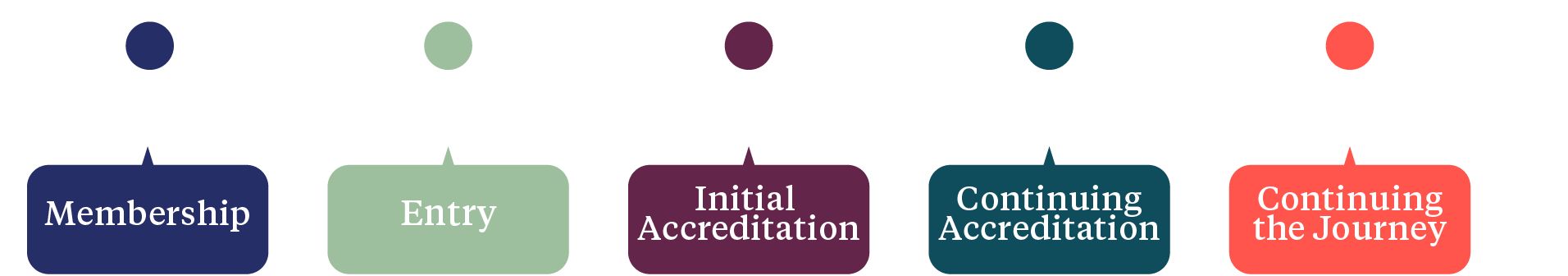 Accreditation Process Infographic